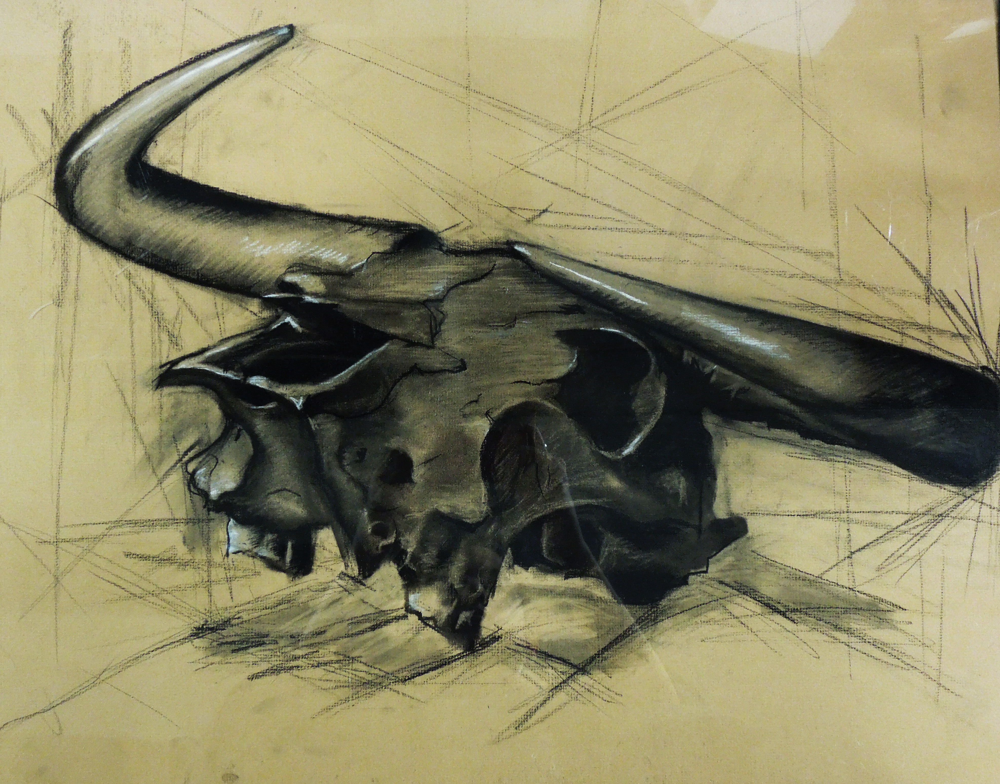 bull skull